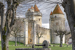 Château de Blandy Les Tours - 300x200